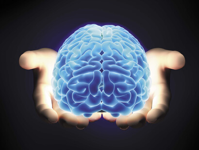 Cervello virtuale