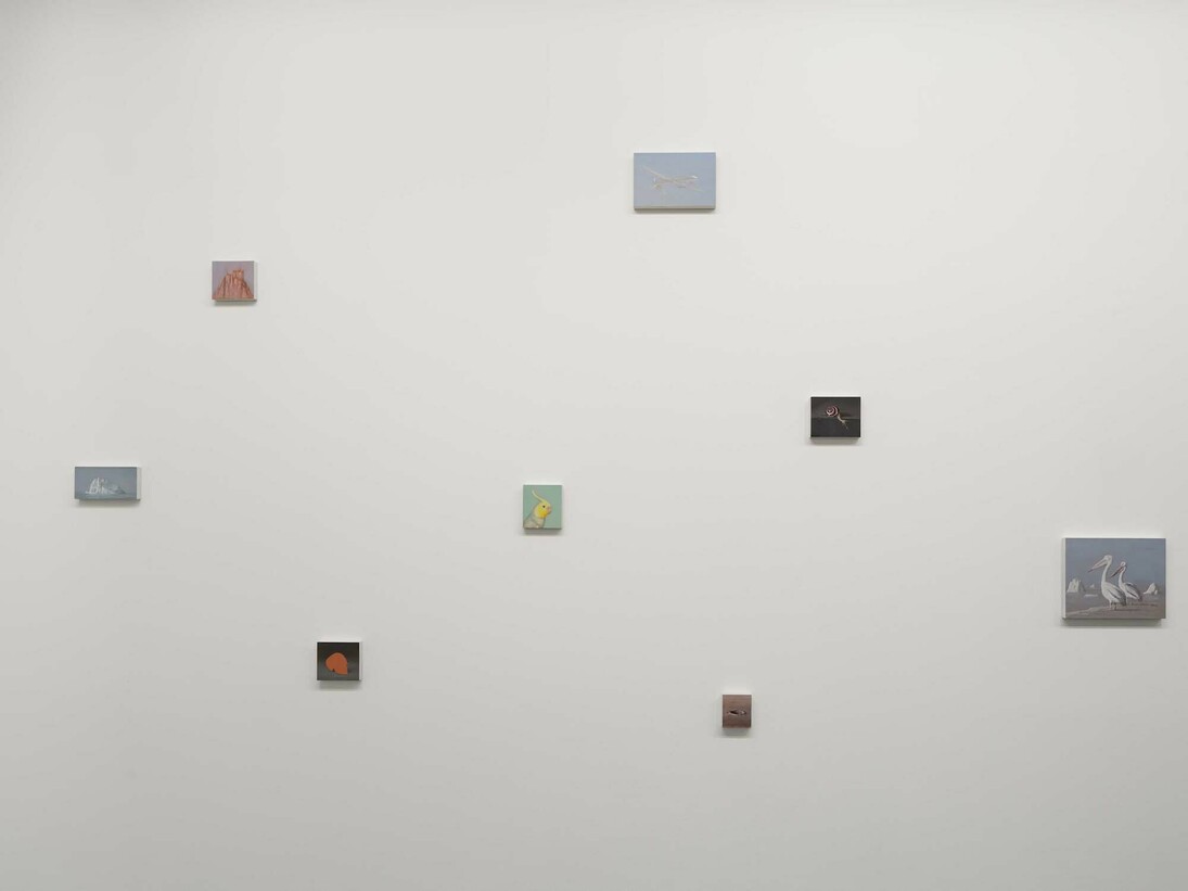 Miguel Branco, Spectres, Exhibition view. Courtesy of Jeanne Bucher Jaeger