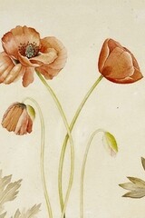 Le Tavole botaniche di Mariella Busi De Logu