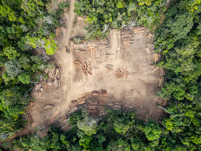 Aerial perspective showing a log storage yard surrounded by deforested land in Malaysia’s tropical rainforest