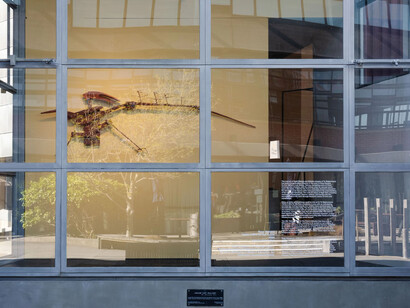 Ross Hemera, Tahito: a bird for the future, exhibition view. Courtesy of Te Pātaka Toi Adam Art Gallery