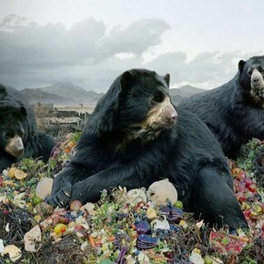 Untitled #152, 2008, From the series Until the Kingdom Comes, C-Print, 62″ × 96″