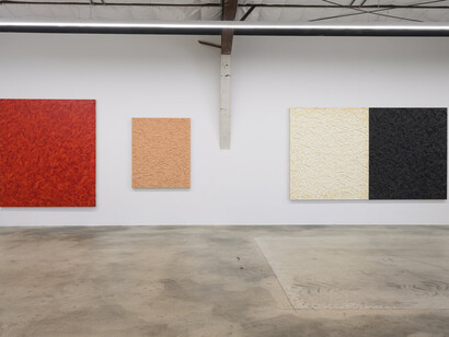 James Hayward, exhibition view. Courtesy of The Pit Gallery