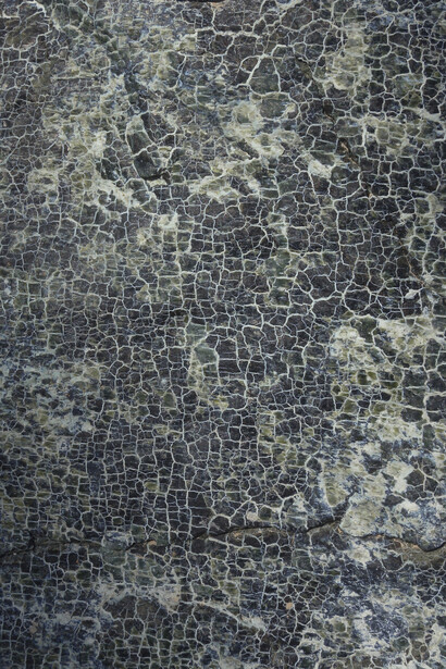 Isabelle Tanner, Ante ceramicum, Ausstellungsmaterialien. Mit freundlicher Genehmigung des Mudac