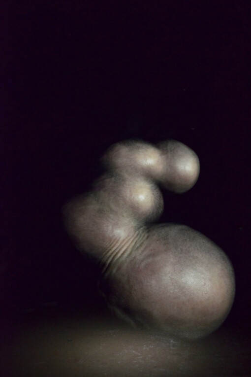 Ensemble. Courtesy of Charlie Smith London