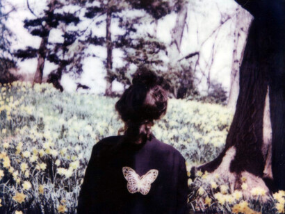 Farfalla. Ph Anna Marcell