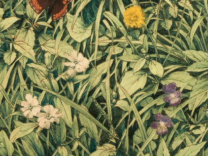 Flora, Fauna and Fable. Courtesy of Schloss Köpenick