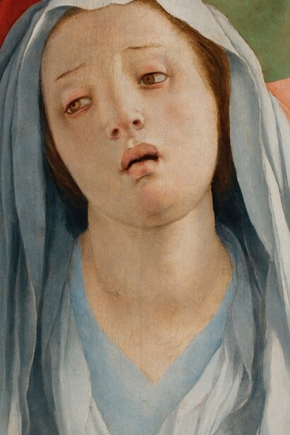 Il Trasporto di Cristo di Pontormo, Il volto della Madonna 