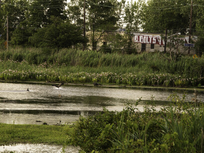 The Unseen Meadowlands. Courtesy of Soho Photo Gallery