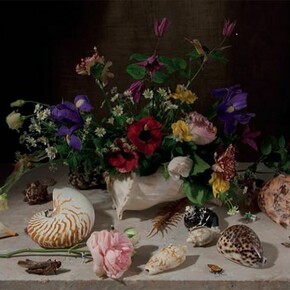 Rebecca Louise Law, Balthasar Van der Ast 2014