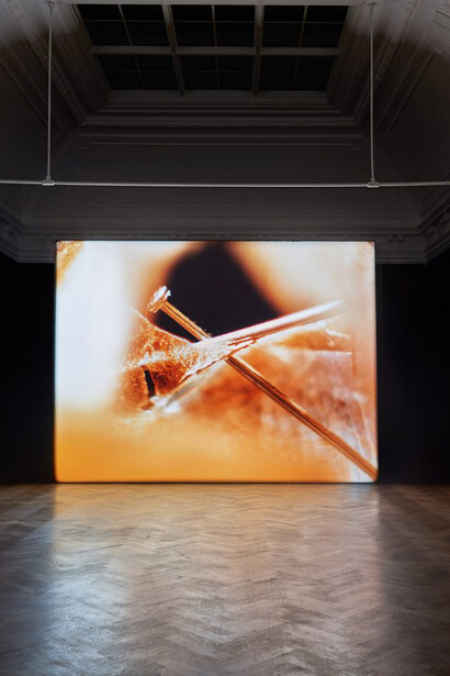 Luke Willis Thompson. Courtesy of Kunsthalle Basel