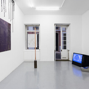 Toucan Watch. Courtesy of Galeria Madragoa