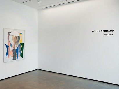 Dil Hildebrand, Exhibition view. Courtesy of C24 Gallery