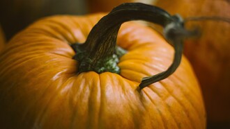 Calabaza