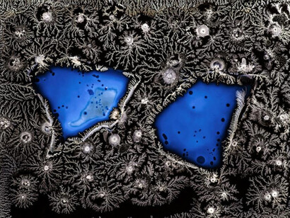 Michael Koerner, Brothers #0655 (detail), 2023. Collodion on tin, 6 by 8 inches.Courtesy of Lisa Sette Gallery