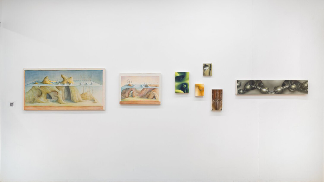 Various artists, Lucid apparitions, exhibition view. Courtesy of Lyles & King Gallery