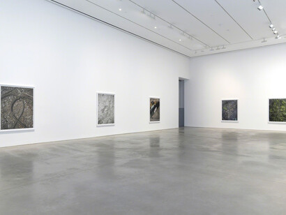 Stephen Shore. Courtesy of 303 Gallery