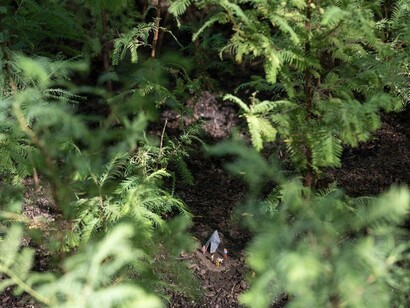 Spencer Finch: Lost Man Creek. Courtesy of Public Art Fund