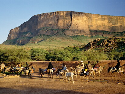 Dogon