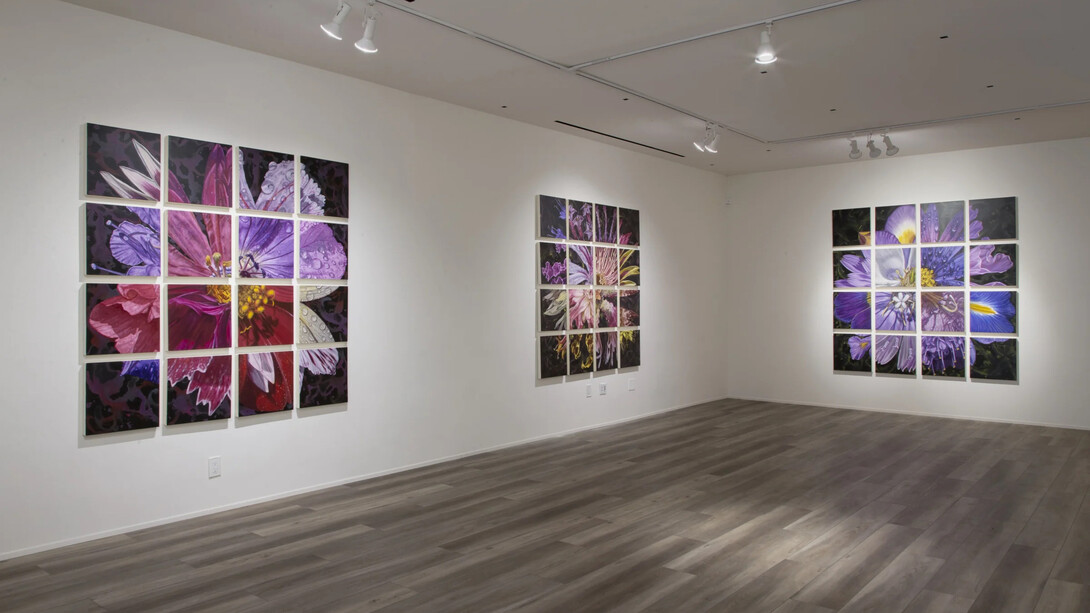 Gail Roberts, Natural selection, exhibition view. Courtesy of Quint Gallery