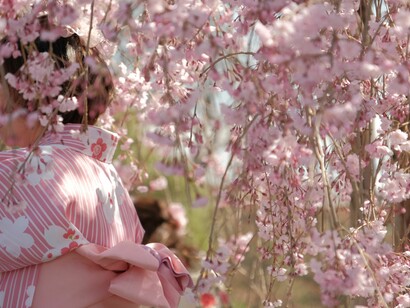 Jazz music, "Kyoto Flowers". «Ci sono alcune città» ribadisce Collina «che hanno suscitato in noi dei legami e ricordi particolari