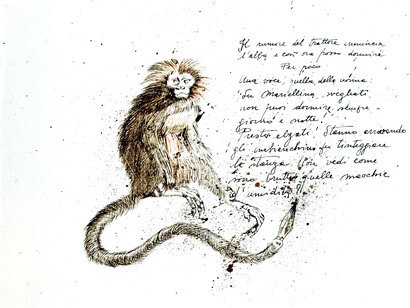 La scimmia c'est moi