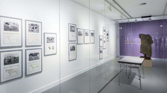 Jef Geys. Courtesy of M HKA