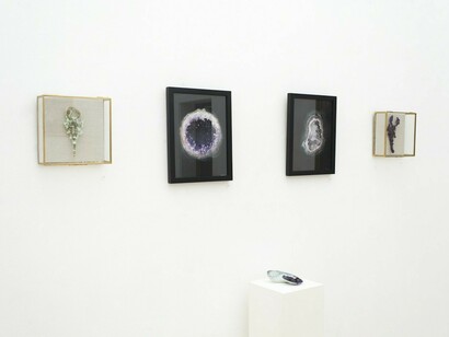 Lush Life, Exhibition view. Courtesy of Hashimoto Contemporary