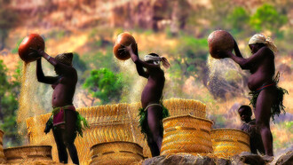 Il 97% del mondo vegetale domina il mondo, foto Sergio Pessolano