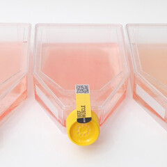 Serial Eater. Courtesy of CID au Grand-Hornu