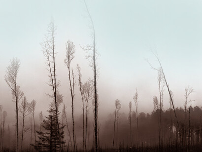 Sila, Calabria, Italia. La Sila è divisa in tre parti principali: la Sila Grande, la Sila Piccola e la Sila Greca. Ciascuna di queste offre una diversa esperienza invernale