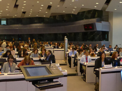 La lengua no es el plano de referencia para el lenguaje, sino que éste es una realidad concreta hecha de objetos, posibles acciones, problemas, métodos, limitantes y objetivos.  Traduciendo el Foro Europeo 2016