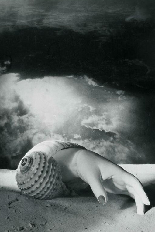 Dora Maar (Henriette Théodora Markovitch, dite), Sans titre [Main-coquillage], 1934. Cortesía de Centre Pompidou 