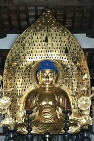 Joshinji Three Buddha Halls © Alma Reyes