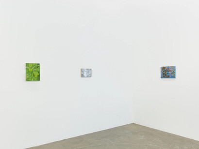 Adrian Ocone, Where things go, exhibition view. Courtesy of Ochi Gallery