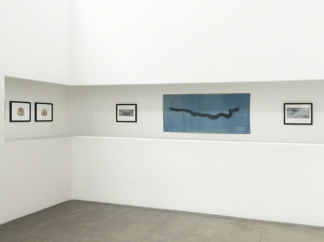 Lynn Hanson's Wrack & Bramble, Exhibition view. Courtesy of Lora Schlesinger Gallery