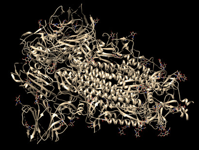 Representación visual de la estructura tridimensional de una proteína. Las proteínas no son estructuras fijas: se pliegan, se modifican y responden al entorno, reflejando el estado vivo del organismo