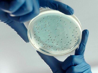 El futuro está en la biología digital: ya no solo leemos el ADN, ahora podemos tratarlo como información de computadora para escribir código genético y crear microbios sintéticos