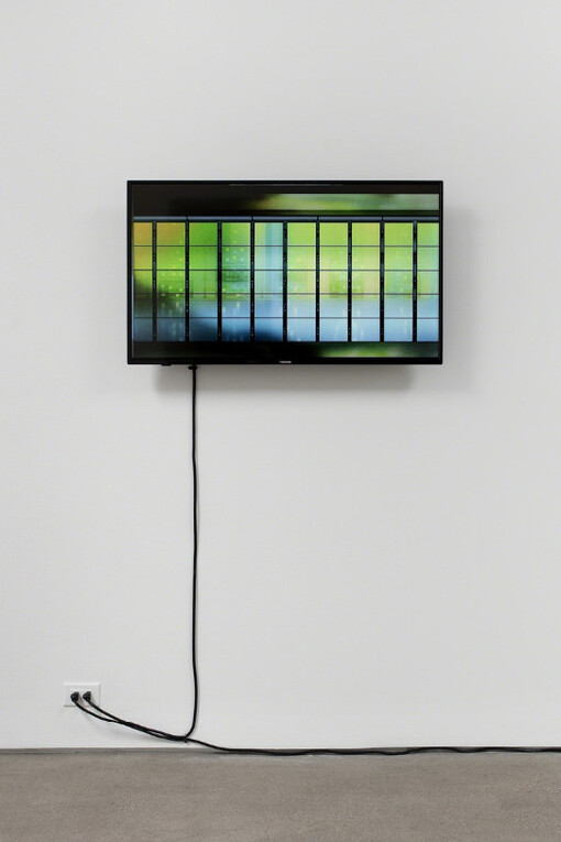 Jeremy Blake. Courtesy of Honor Fraser Gallery