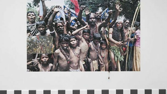 Sheela Gowda, Protest, my son, 2011, Poster, horn and fur objects, Courtesy of the artist and Galleryske, Bangalore, © Peter Cox