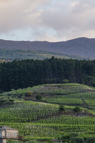 Guardiola, Alta Mora