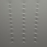 Turi Simeti, 5 file di piccoli ovali grigi, 2016, 150x300 cm. Courtesy Archivio Turi Simeti