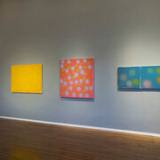 Doug Ohlson, Private values, exhibition view. Courtesy of Louis Stern Fine Arts