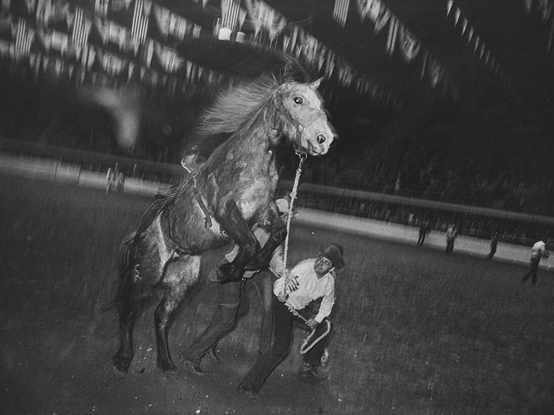 Garry Winogrand (American, 1928–1984) Fort Worth
1974 Gelatin silver print San Francisco Museum of Modern Art, Accessions Committee Fund: gift of Doris and Donald Fisher, and Marion E. Greene © The Estate of Garry Winogrand, courtesy Fraenkel Gallery, San Francisco