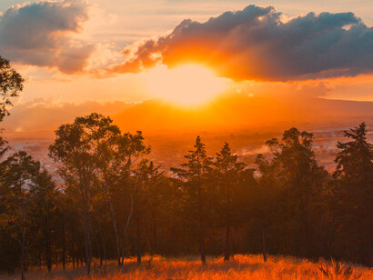 Amanecer en el campo: cada vez hay más datos que evidencian que la longevidad saludable pasa por dormir bien cada noche