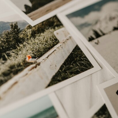 Il tema della memoria, intesa come antidoto all’oblio e alla morte, attraversa tutta la sua opera