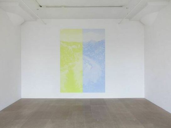 Katharina Fritsch, Postkarte (Franken) [2nd Postcard (Franken)], 2006, Oil-based ink and acrylic on plastic panel, 110 1/4 x 73 5/8 inches (280 x 187 cm). Courtesy of the artist and Greene Naftali, New York