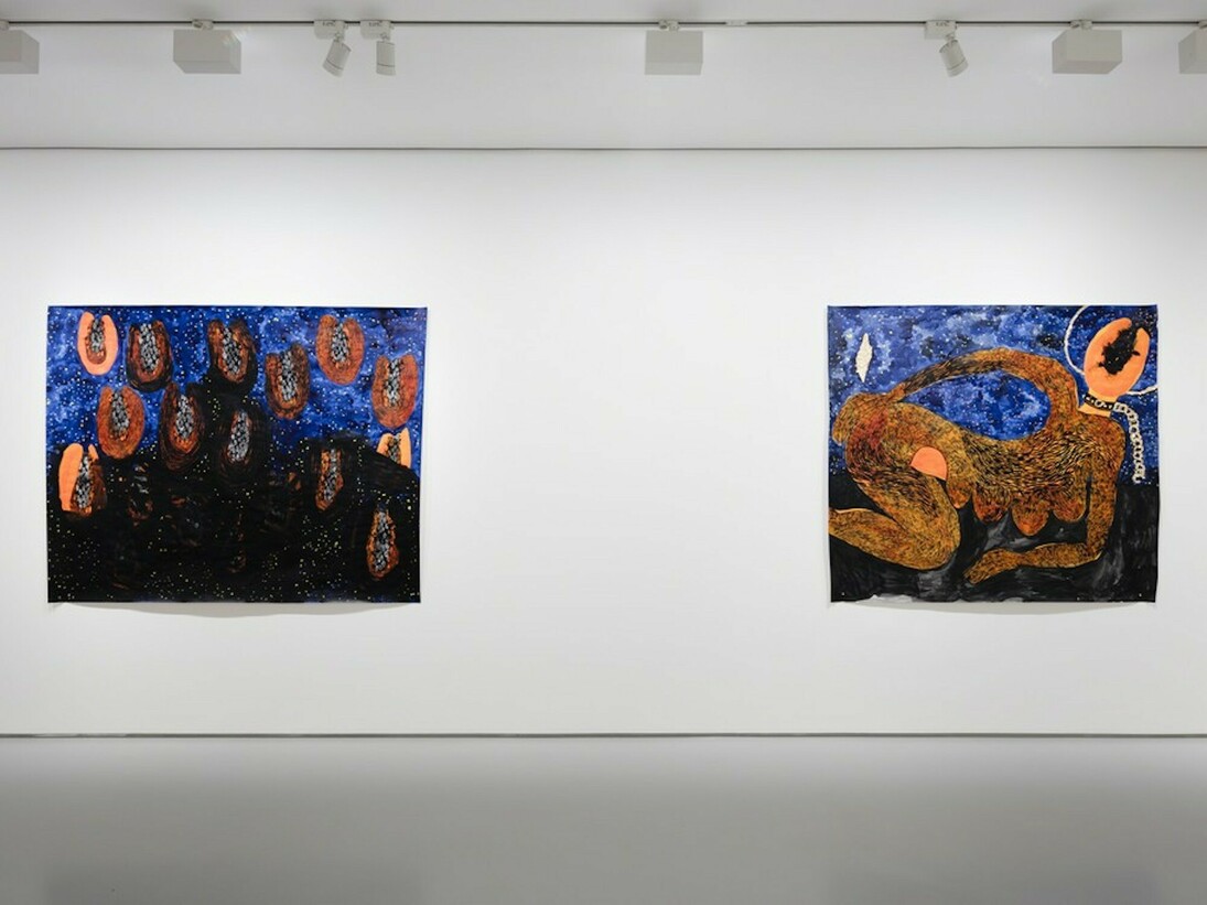 Lady Skollie. Lust Politics, Exhibition view. Courtesy of Tyburn Gallery