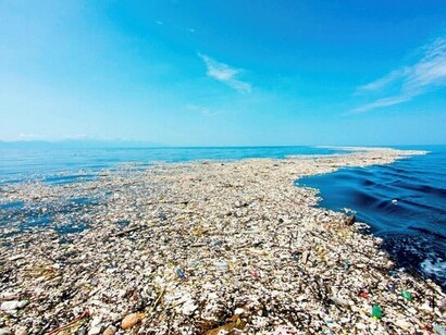 Contaminación del mar