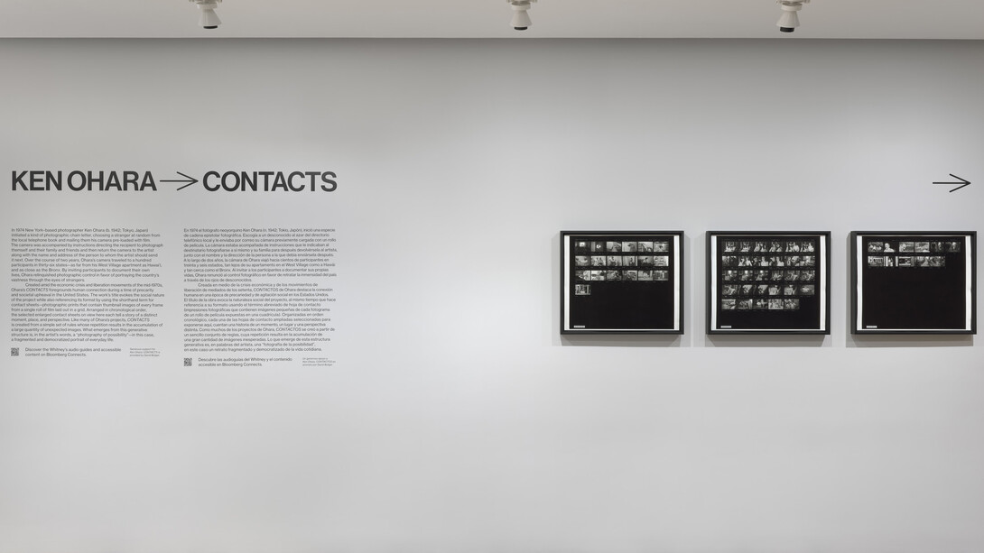 Ken Ohara, Contactos, vista de Whitney Museum